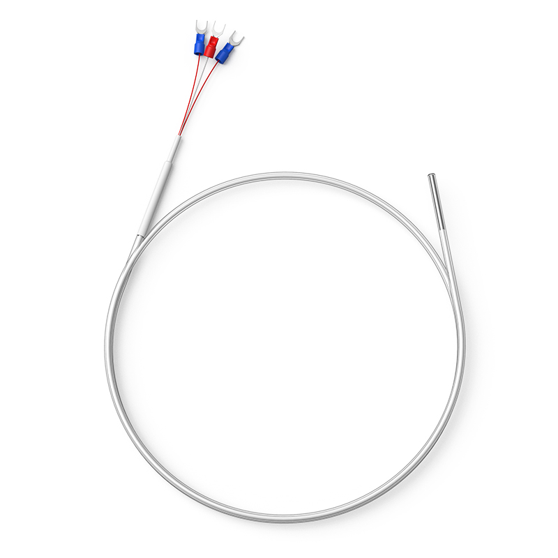 鐵氟龍熱電阻12_http://www.nbjm.com.cn_溫度儀表_第1張